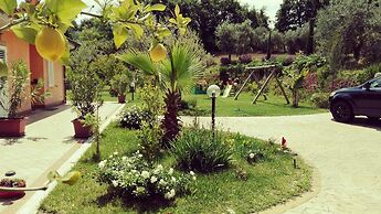 B&B Il Giardino Mediterraneo