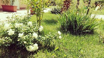 B&B Il Giardino Mediterraneo