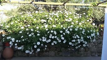 Apartamento Tía Antonia