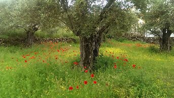 Apartamento Tía Antonia