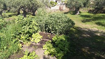 Apartamento Tía Antonia