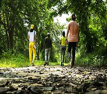 Olive Resorts & Villas