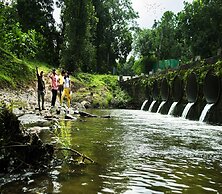 Olive Resorts & Villas