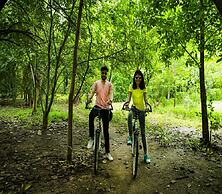 Olive Resorts & Villas