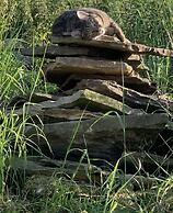 Chestnut Farm Holiday Cottages