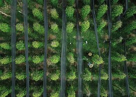 Six Senses Krabey Island