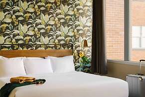 Roami at Duncan Plaza