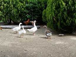 B&B Ortali Country House