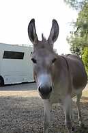 B&B Ortali Country House