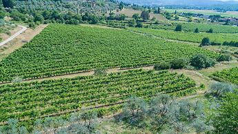 Tenuta La Pieve Casale Presciano