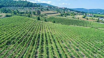 Tenuta La Pieve Casale Il Giglio