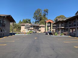 Olive Tree Inn & Suites