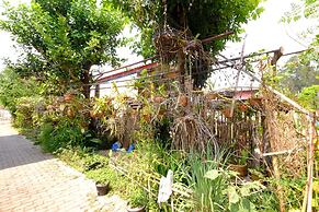 Ban Muang Pon Home Stay