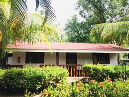 The Pelican's Resort