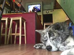 Backstage Osaka Party Hostel and Bar