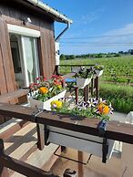 Le Domaine de Canesse