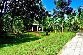 Safari Queens Resort