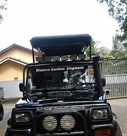 Safari Queens Resort