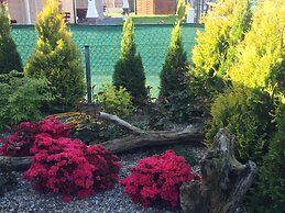 Domki Letniskowe Amelia