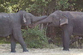 Sat Nam Village Eco-Hotel