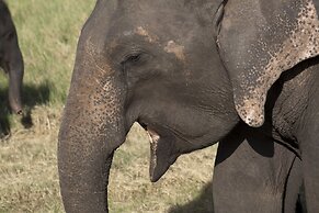 Sat Nam Village Eco-Hotel