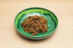 SHIZUTETSU HOTEL PREZIO Hakata-Ekimae