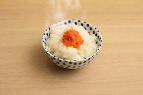 SHIZUTETSU HOTEL PREZIO Hakata-Ekimae