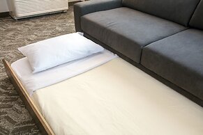 SpringHill Suites by Marriott Orlando Theme Parks/Lake Buena Vista