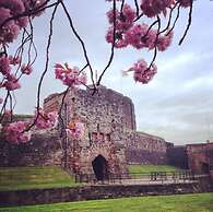Pheasant Lodge Scottish Borders