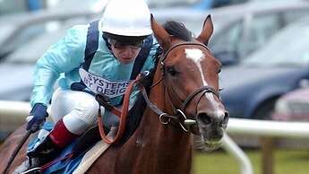 Pheasant Lodge Scottish Borders