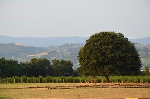 Fattoria Lucciano