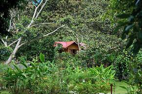 Carolina Egg Gasthaus