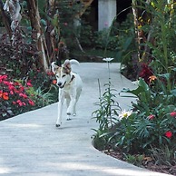 Carolina Egg Gasthaus