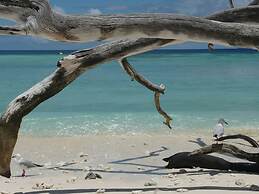 Tranquility By The Course Port Douglas