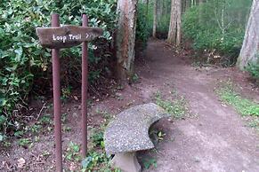 Inn to the Woods B&B