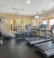 Olaf's Endless Summer