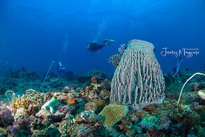 Arkipelago Beach Resort