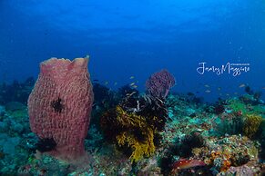 Arkipelago Beach Resort