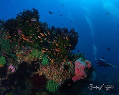 Arkipelago Beach Resort