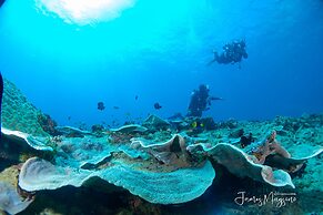 Arkipelago Beach Resort