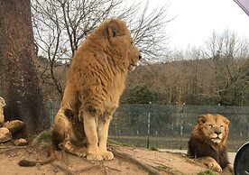 Yadomaru Mine Non Smoking