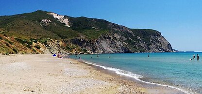 House 1910 by Zante Plaza