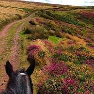 Pardlestone Farm: B&B