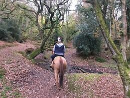 Pardlestone Farm: B&B