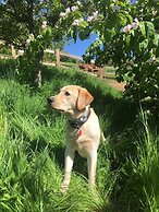 Pardlestone Farm: B&B