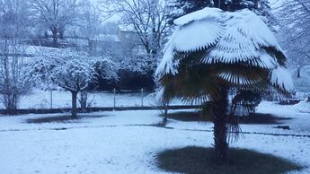 Le Curieux