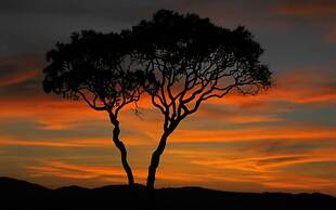 Pousada Chalés Alto da Estância