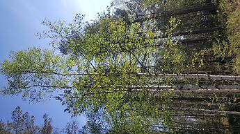 Enjoy your stay in Ranua