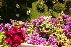 Accommodation Stosic