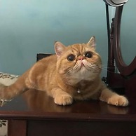 Hope Sea Bed and Breakfast